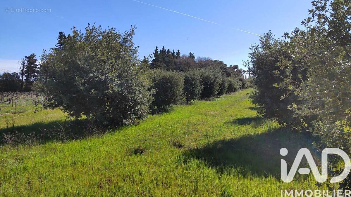 Terrain 4400 m² à Travaillan  - photo 6