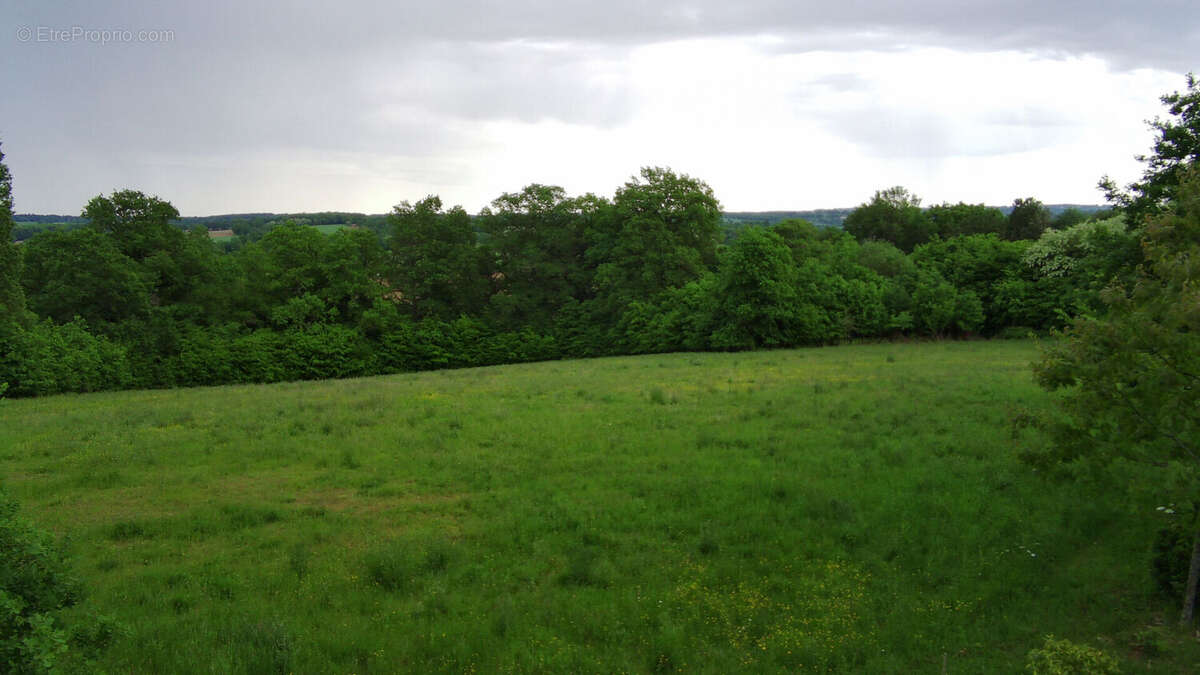 Terrain à SAINT-MARTIN-LE-VIEUX