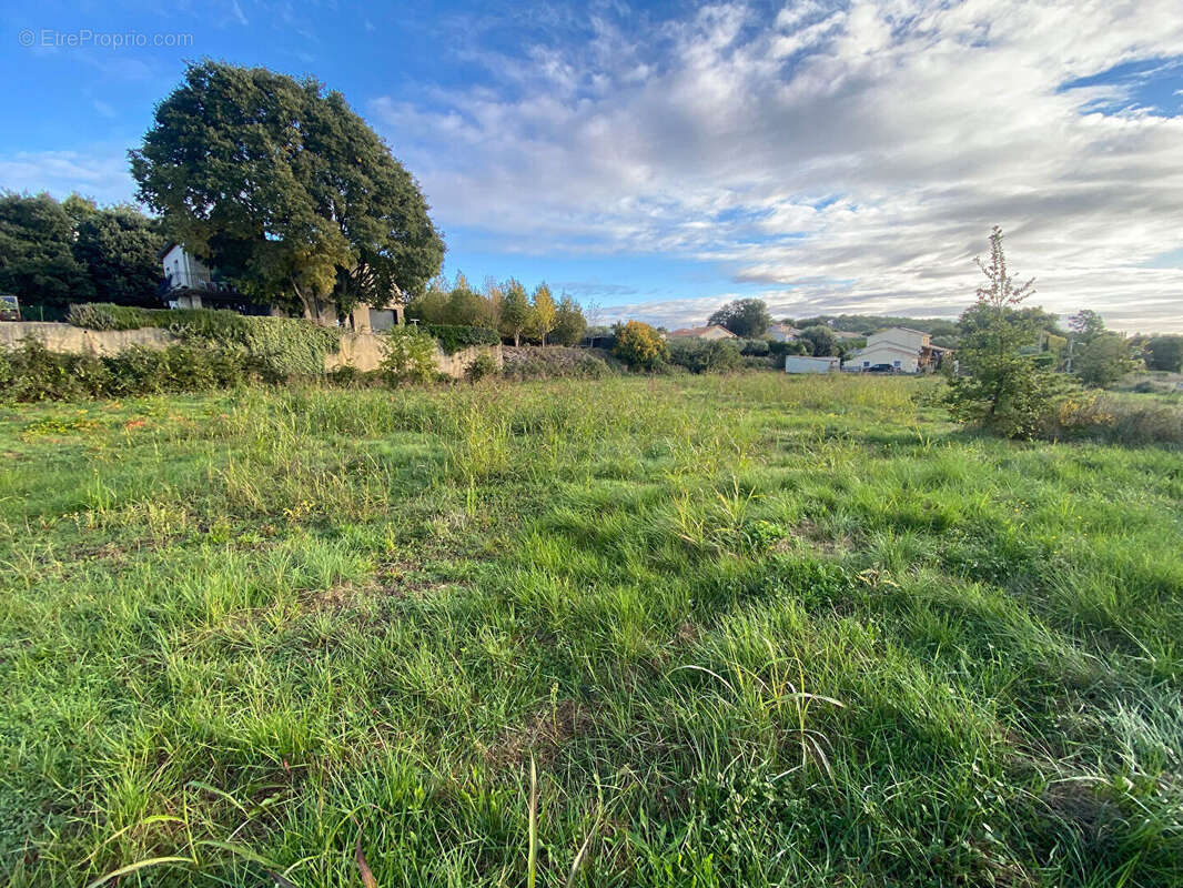 Terrain à GAUJAC