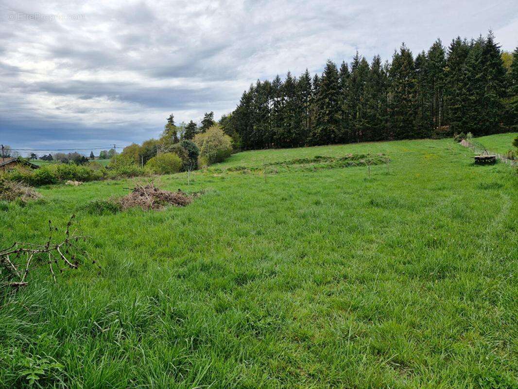 Cherier - terrain constructible - photo 2