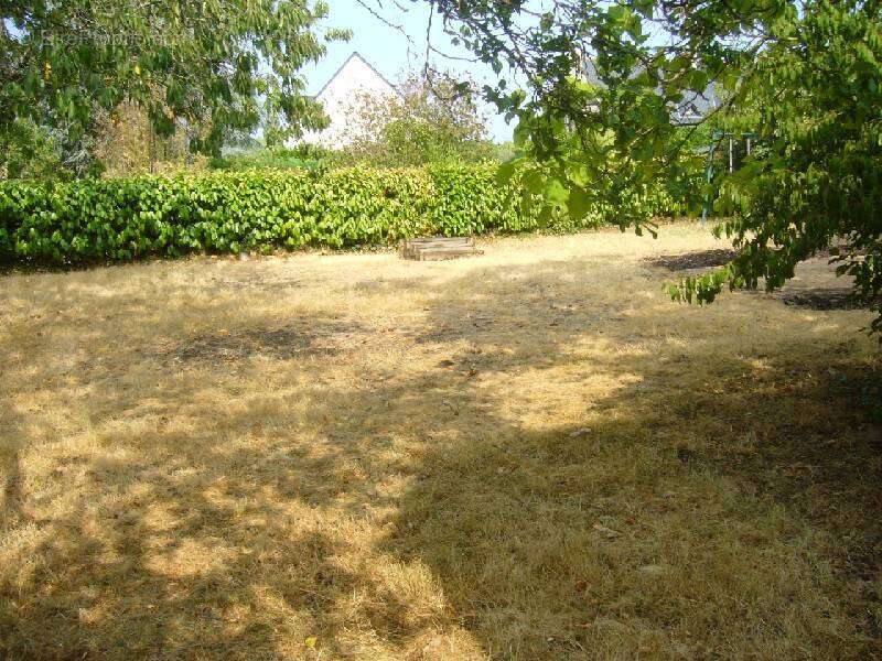 Maison 81 m² à Brissac-Quince  - photo 8