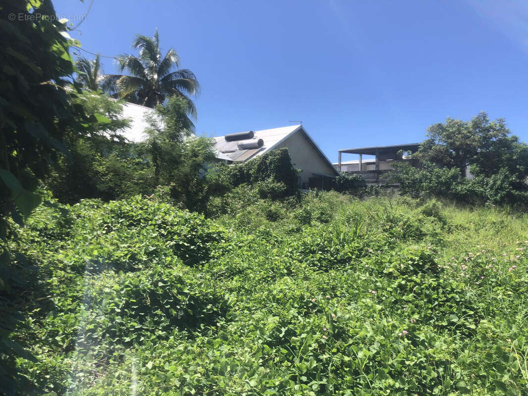 Photo 4 - Terrain à SAINT-LOUIS