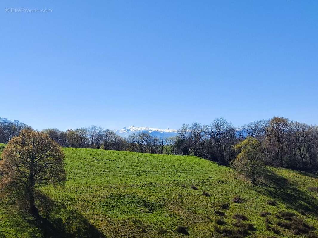 Maison à LUCQ-DE-BEARN