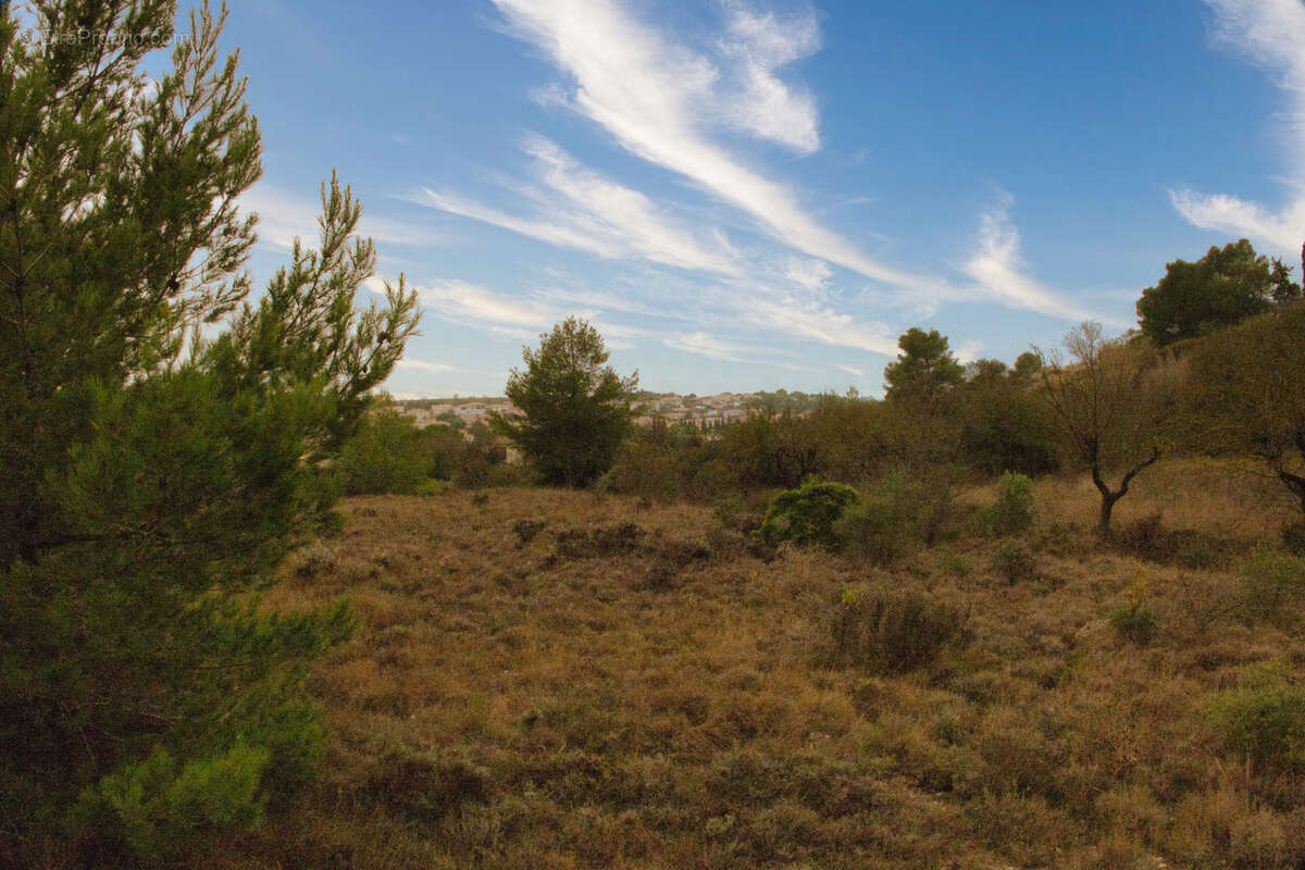Terrain à SALLES-D&#039;AUDE
