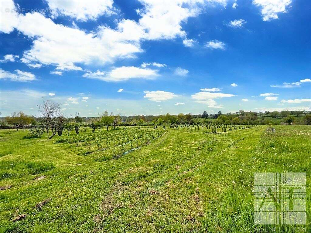 Havre de paix à Ernée – ferme fruitière naturelle et chambres d’hôtes - photo 17