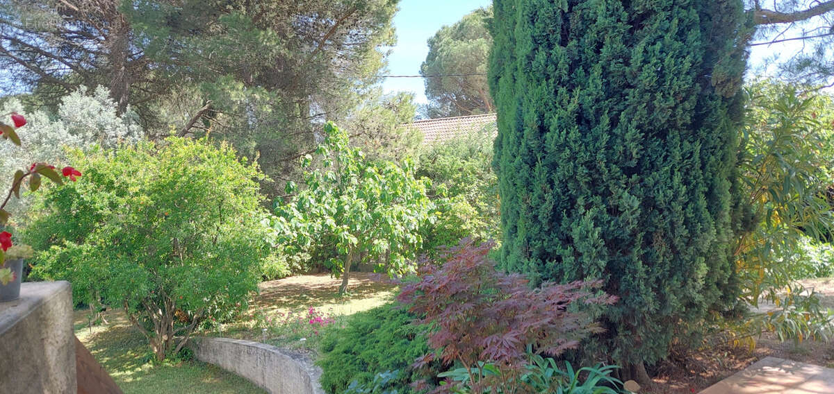 Maison à PONT-SAINT-ESPRIT