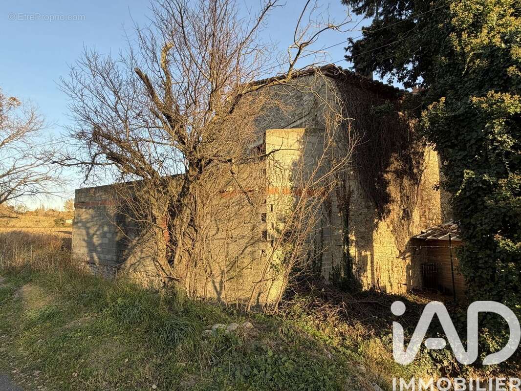 Photo 3 - Maison à SAINT-JEAN-PLA-DE-CORTS