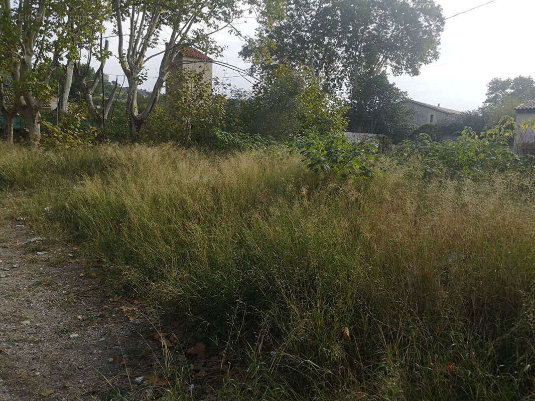 Terrain à CAMPAGNAN