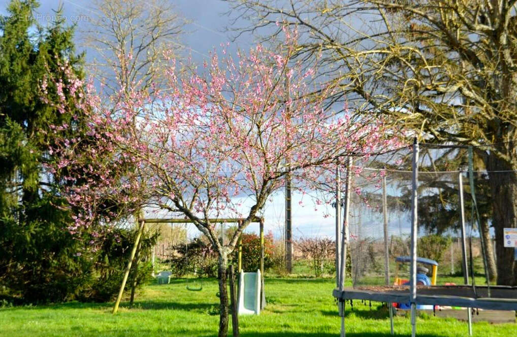 Propriété de caractère avec chambres d'hôtes et gîtes — au cœur d'un cadre verdoyant et bucolique - photo 8