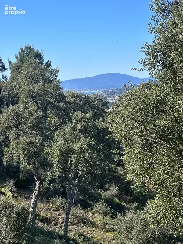 Terrain 3 110 m² à vendre à Sainte-Maxime (83120) - photo 4