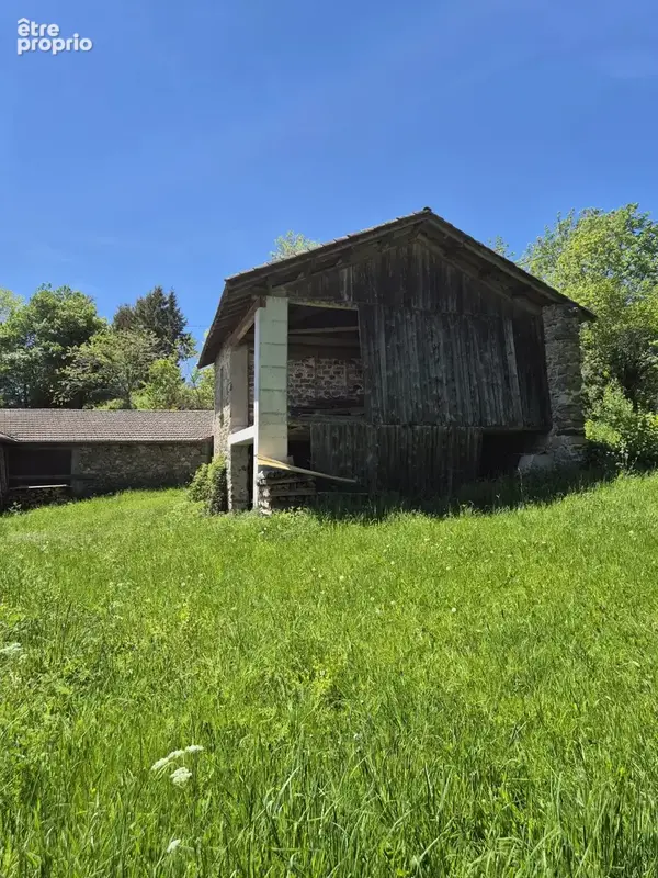 Maison en pierre sur deux niveaux avec dépendances et terrain à Connangles - photo 4