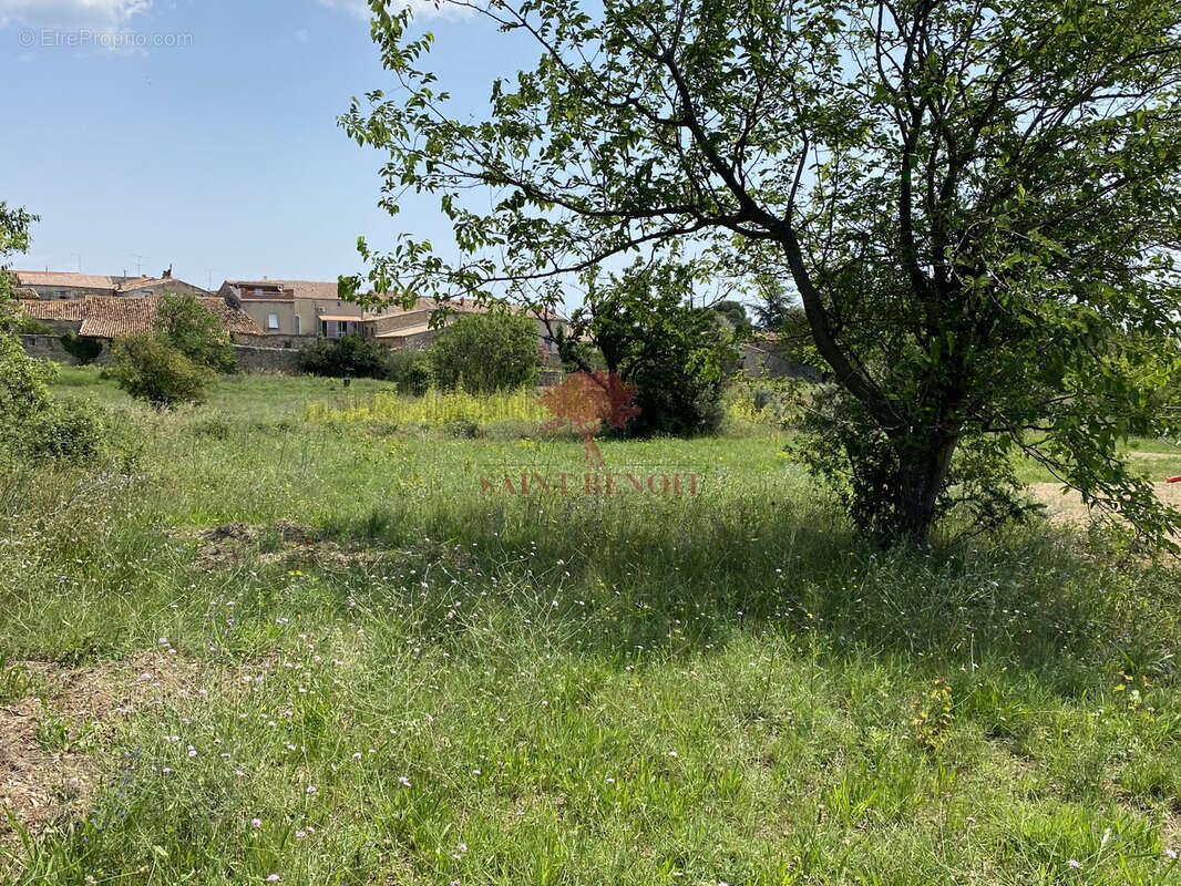 Terrain à MONTPEYROUX