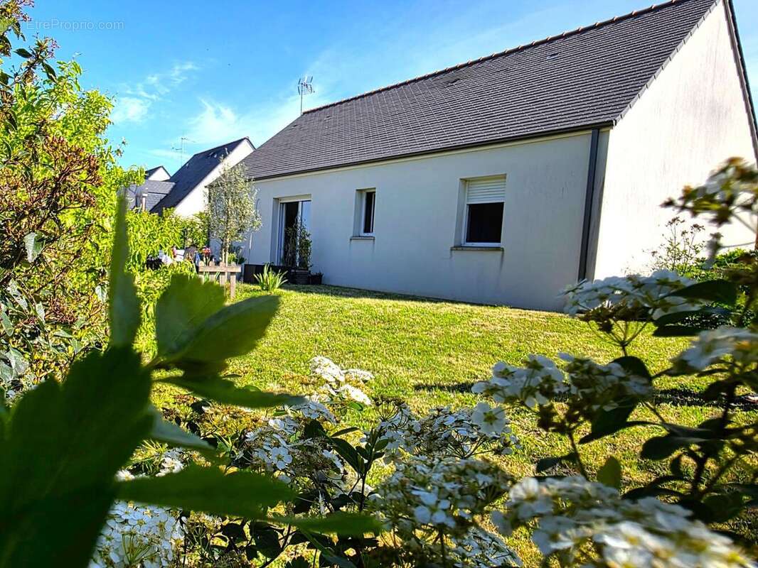 Photo 9 - Maison à BAUGE
