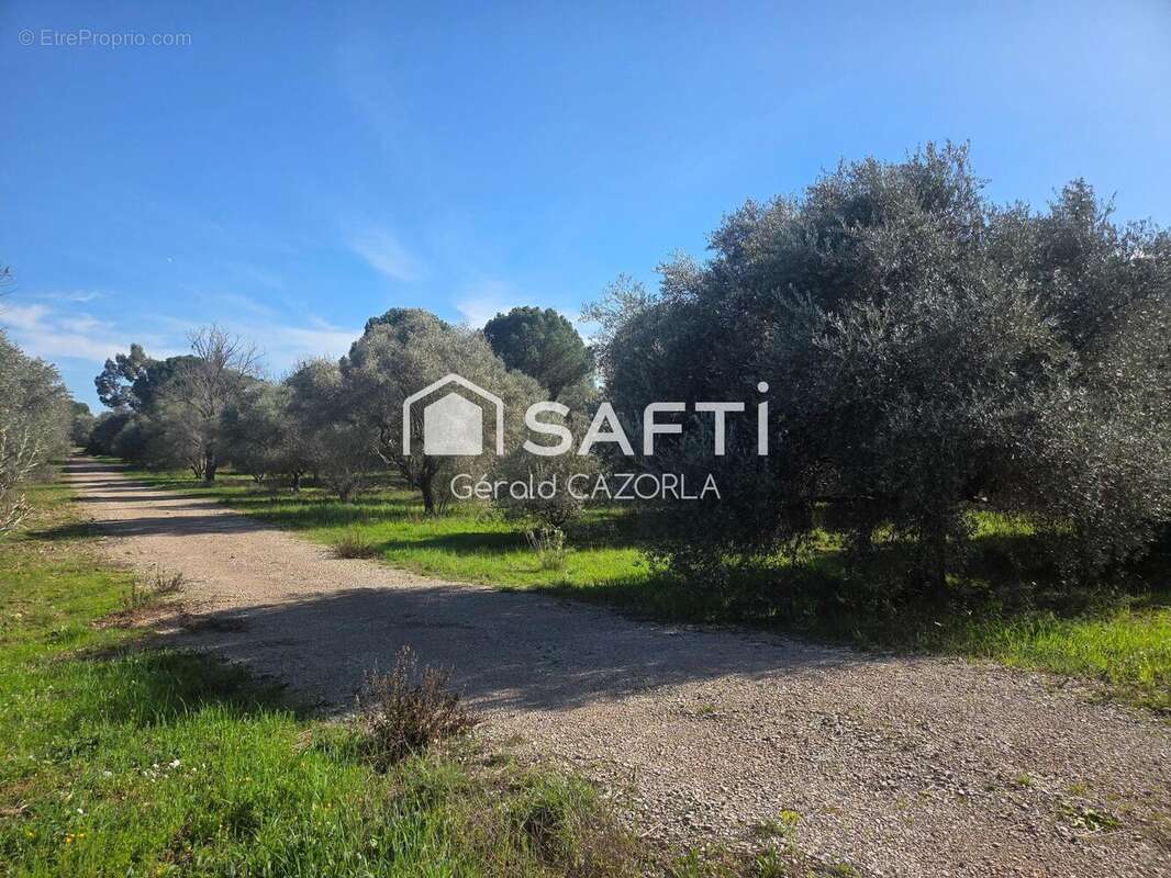 Photo 2 - Terrain à CEYRAS