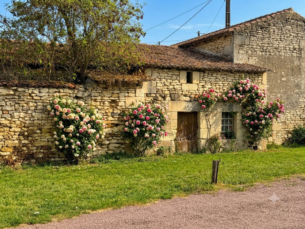 20 minutes sud SAUMUR, jolie propriété proche rivière - photo 18