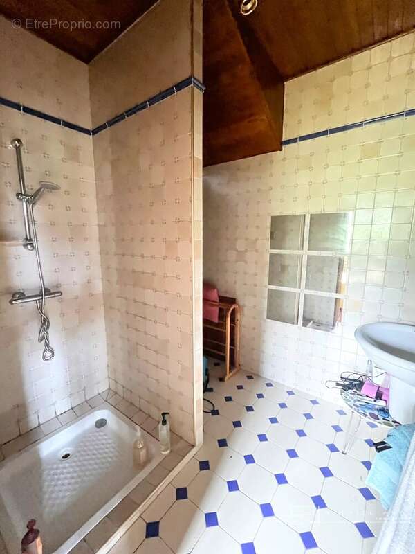 Maison à LASSEUBE-PROPRE