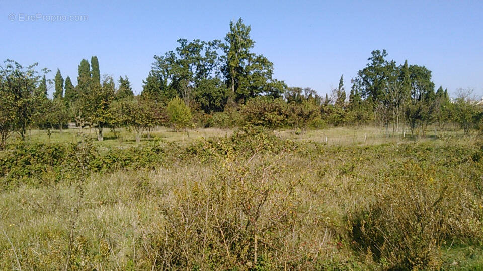 Terrain à VERS-PONT-DU-GARD