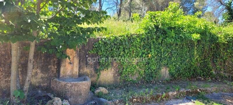 Maison à CORRENS