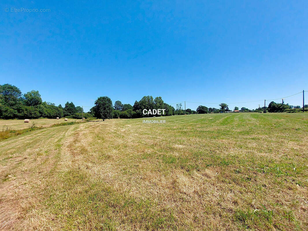 Terrain à LA HAYE-PESNEL