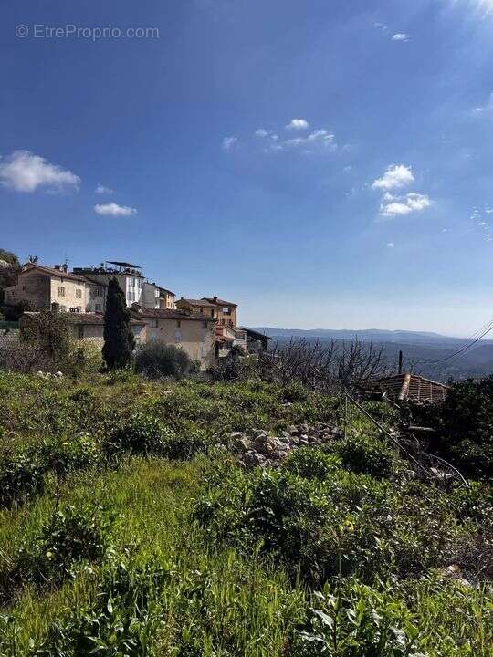 Terrain à SPERACEDES