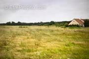 Terrain à MOUSSEY