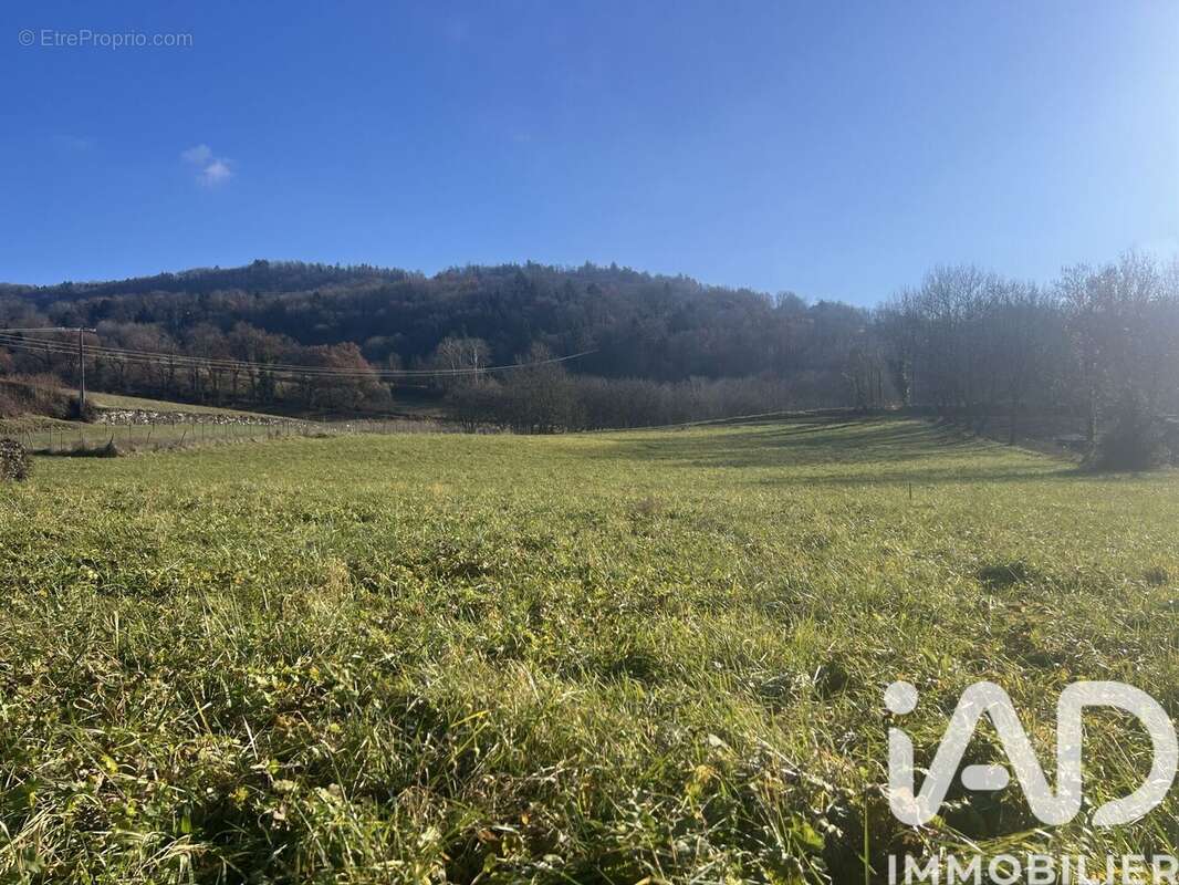 Photo 2 - Terrain à LA CHAPELLE-BLANCHE