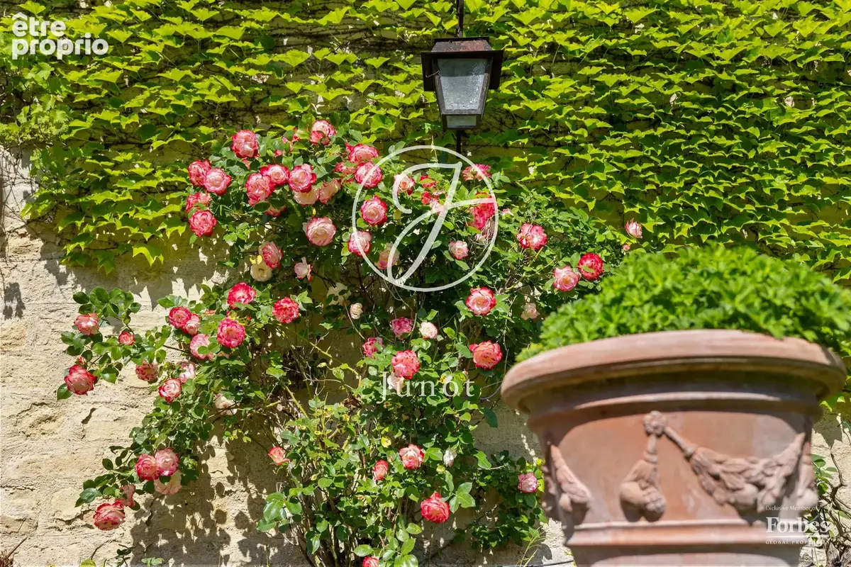 Chatou - BORDS DE SEINE - Maison - 3 chambres - 201m² - Terrain 397m². - photo 27