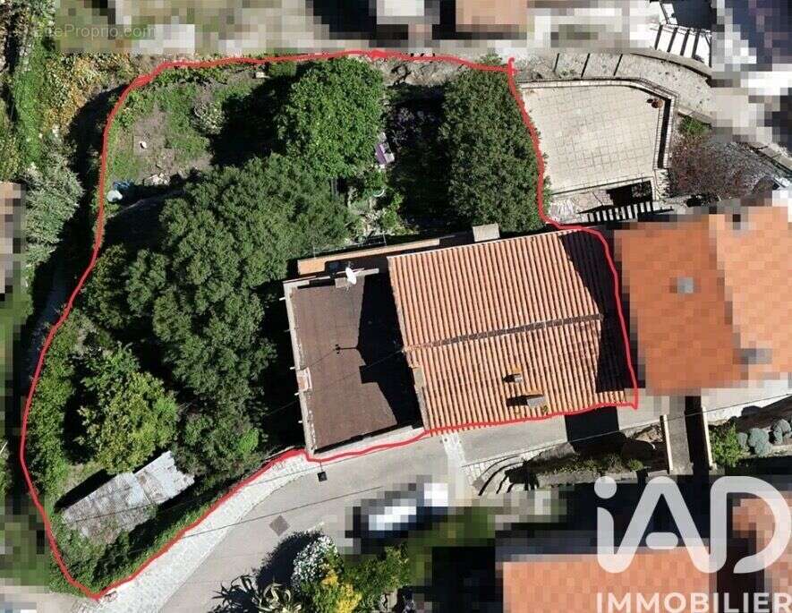 Photo 4 - Maison à OLMETO