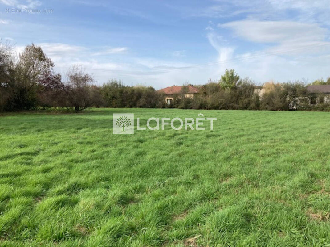 Terrain à MARLIEUX