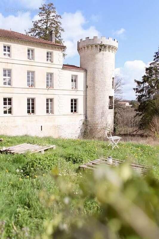 Chateau sur 8 hectares - photo 2