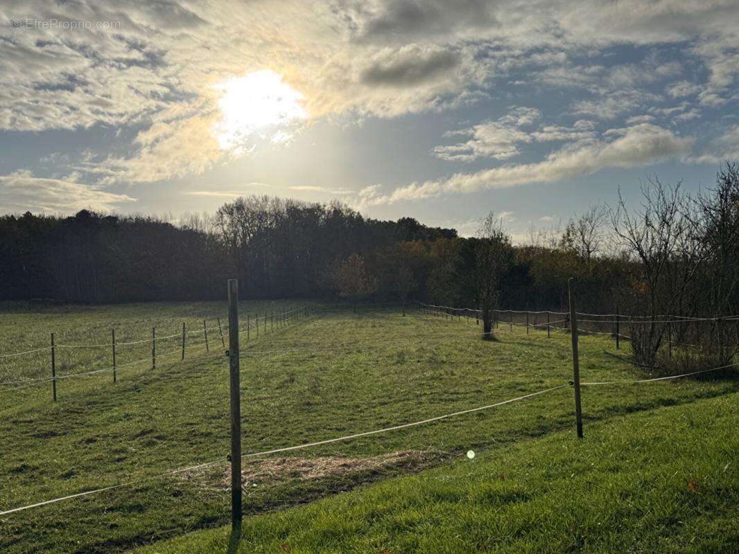 Propriété équestre Le Controis En Sologne 205 m2 - photo 16