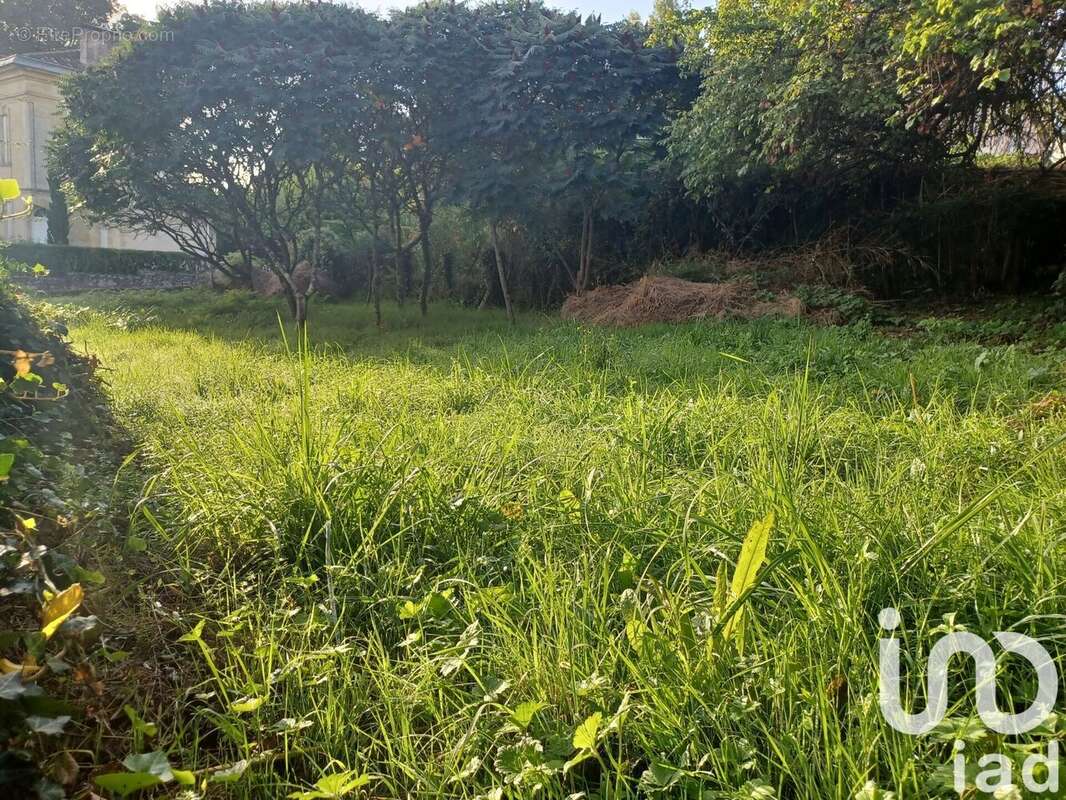 Photo 3 - Terrain à PUJOLS