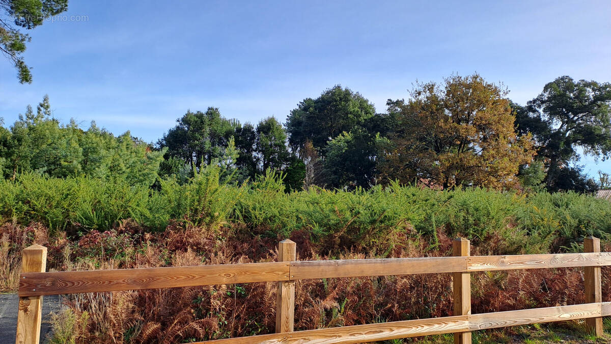 Terrain à MOLIETS-ET-MAA