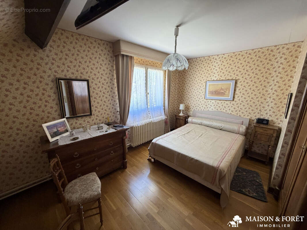 Maison à OUZOUER-SUR-TREZEE