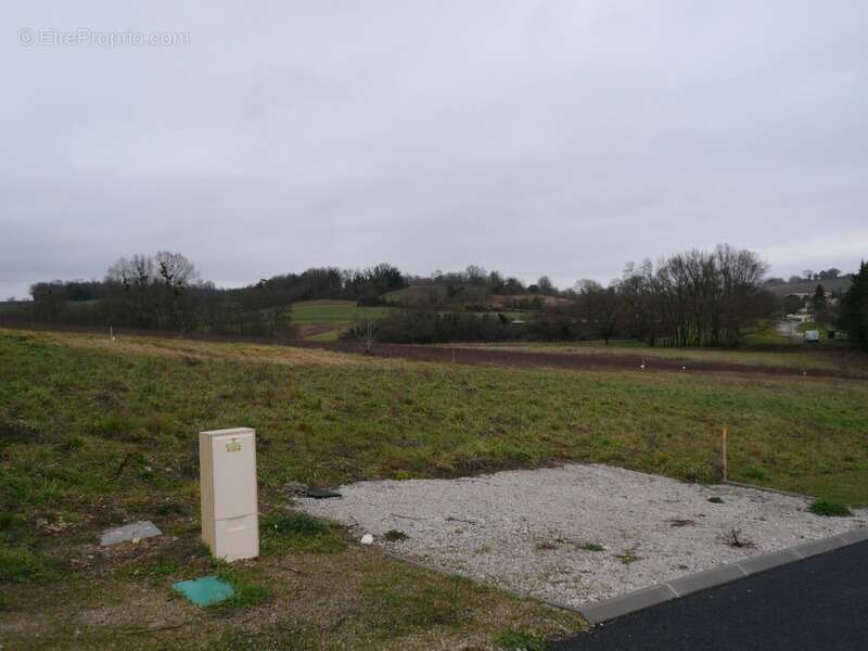 Terrain à SAINT-LAURENT-DE-COGNAC