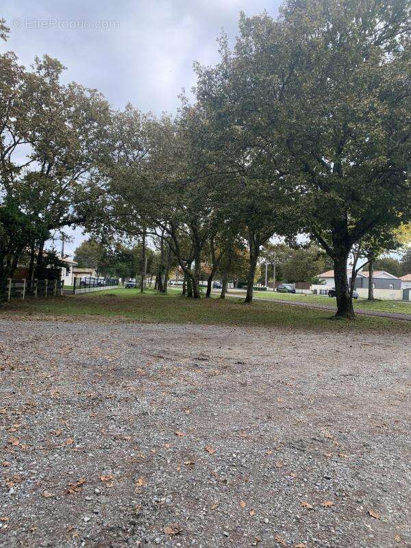 Terrain à GUJAN-MESTRAS