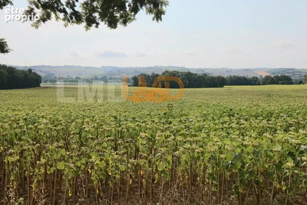 Maison avec piscine sur un terrain de 15328 m² Montaut 31410 - photo 18