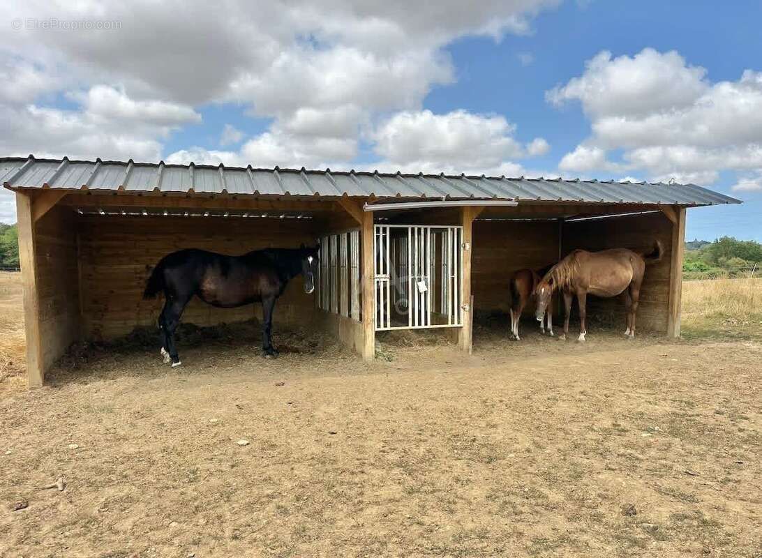 Haras d'entraînement  28 hectares d'un seul tenant à 10 km de Caen - photo 9