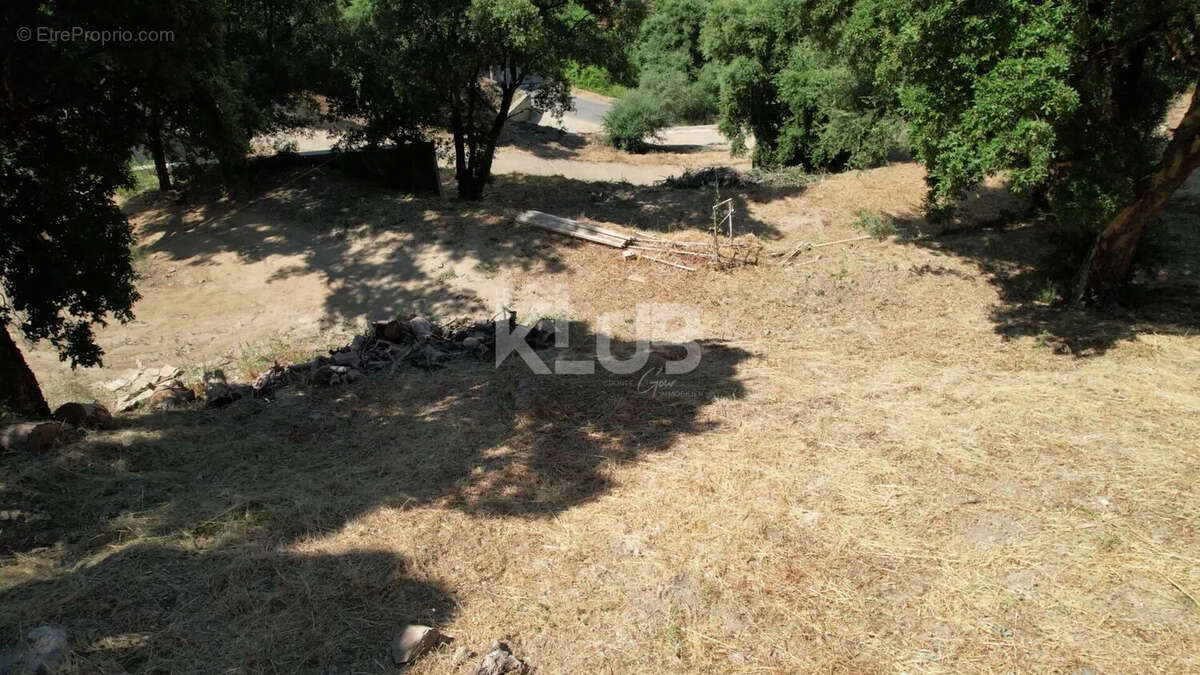 Terrain Constructible-1550 m2-Poggio D Oletta (Nebbio)vue dégagée - photo 12