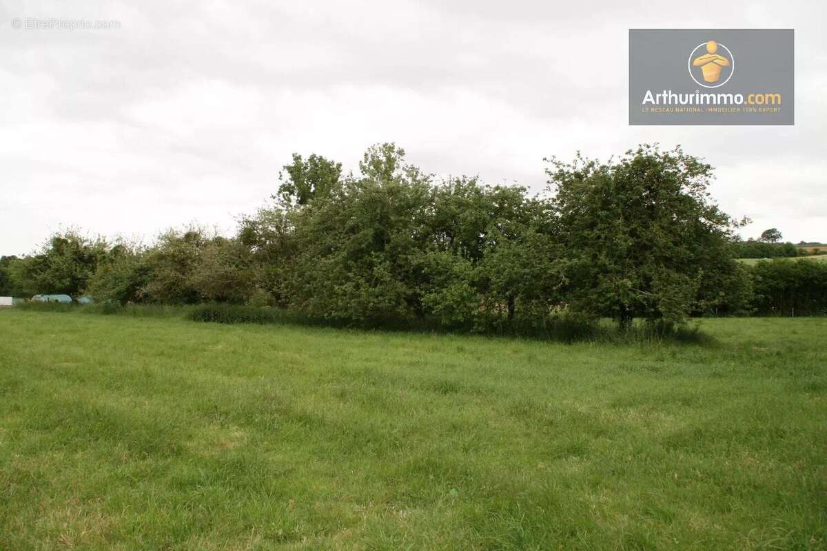 Parking à LA GREE-SAINT-LAURENT