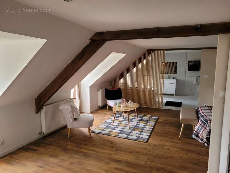 MEAULNE ( 03 )  Magnifique Propriété à vendre 10 pièces 365m2 Terrain 4179m2 - photo 6
