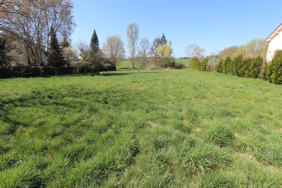 Terrain à RAMBERVILLERS