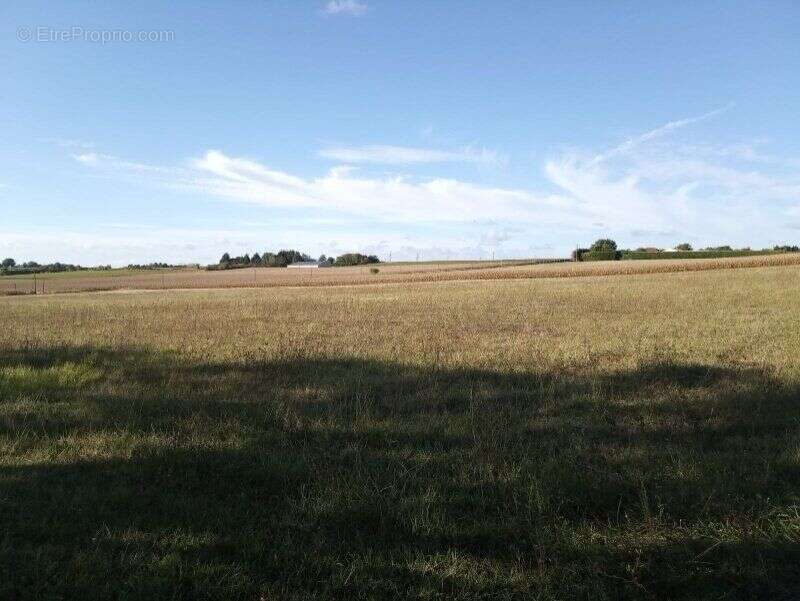 Photo 2 - Terrain à MIRAMBEAU