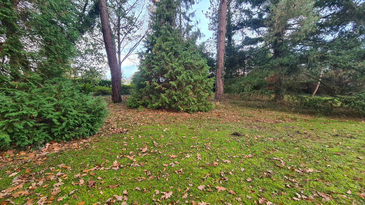 Maison à LE TOUQUET-PARIS-PLAGE