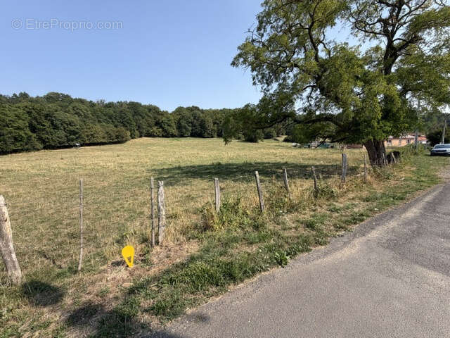 Grand terrain de 17 698 M2 avec partie constructible de 1549 M2 - photo 3