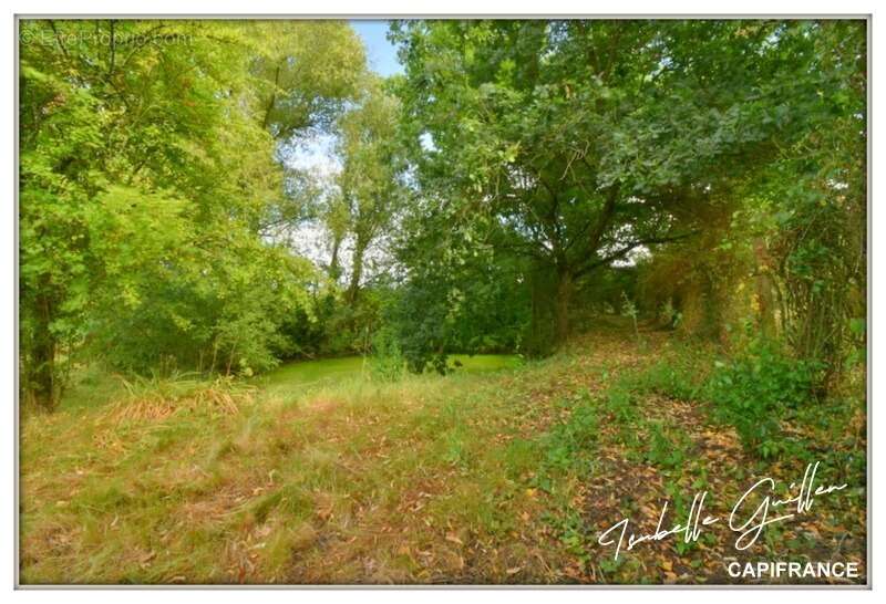 Propriété à vendre à Touchay : 2 maisons avec 4.5 hectares TOUCHAY (18) - photo 4