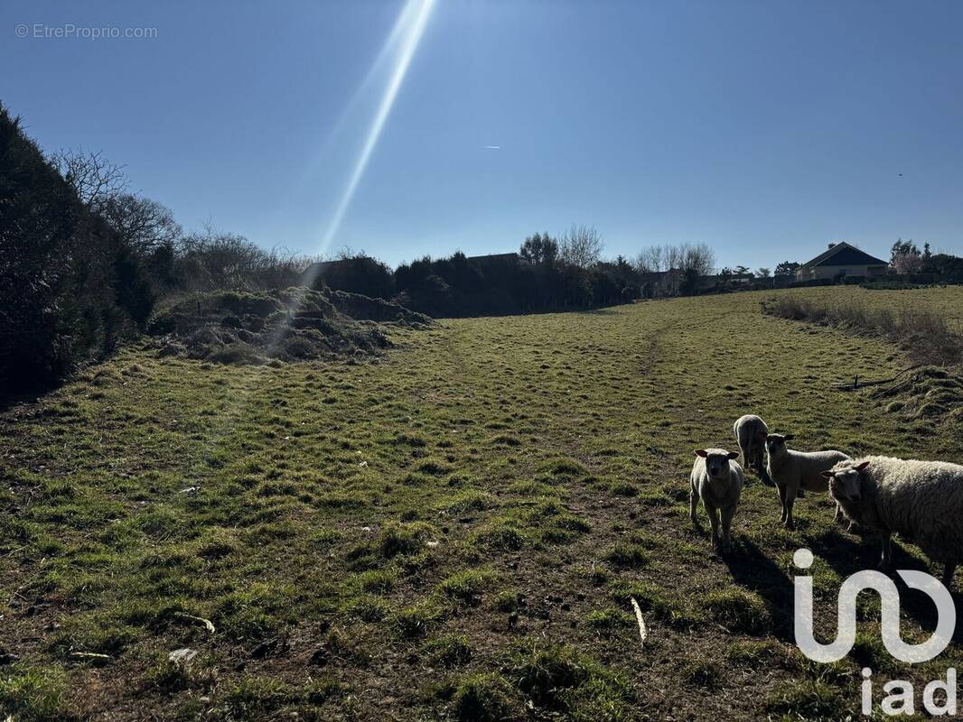 Photo 1 - Terrain à MOISDON-LA-RIVIERE