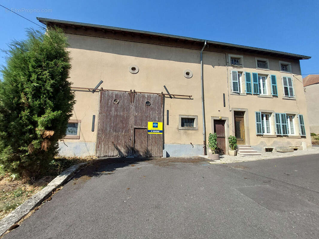 Maison Hesse 6 pièce(s) 182 m2 - photo 2