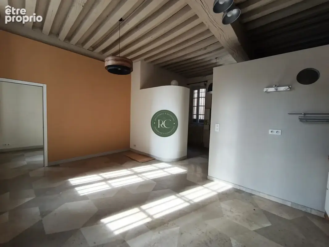Dijon appartement hotel particulier antiquaires - photo 2