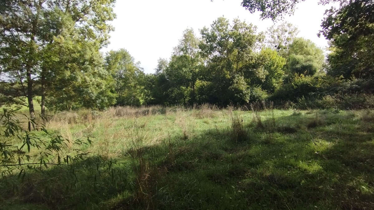 Terrain à BOUSSAY